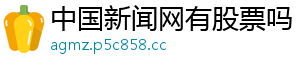 中国新闻网有股票吗
